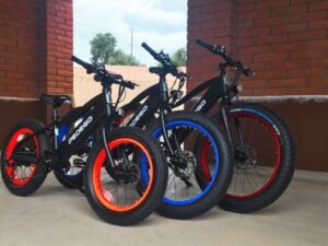Pedego electric bikes cost, Types of Pedego Electric Bikes